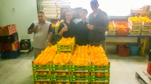 Immagini LT exp azienda Agricola Italiano-33