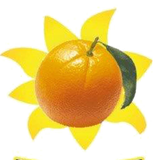 cropped-logo-az-italiano.png