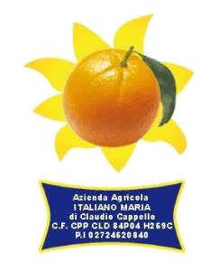 logo az italiano