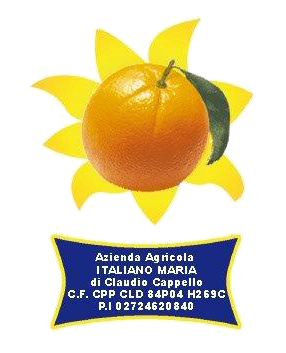 logo az italiano