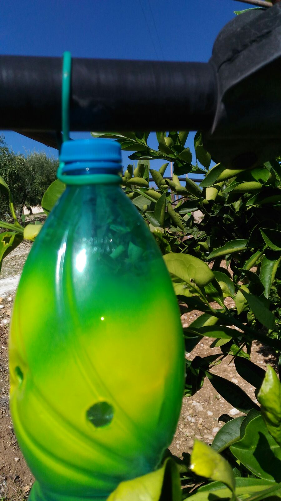 img-20161022-wa0009