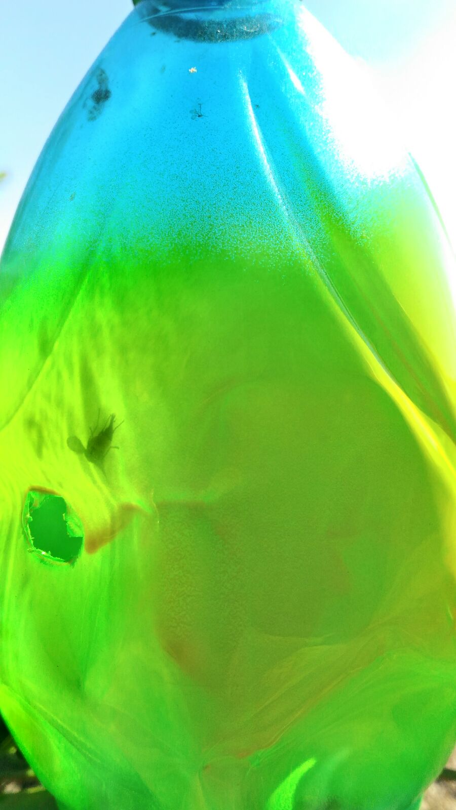 img-20161022-wa0017